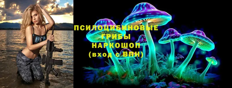 Псилоцибиновые грибы Magic Shrooms Котовск